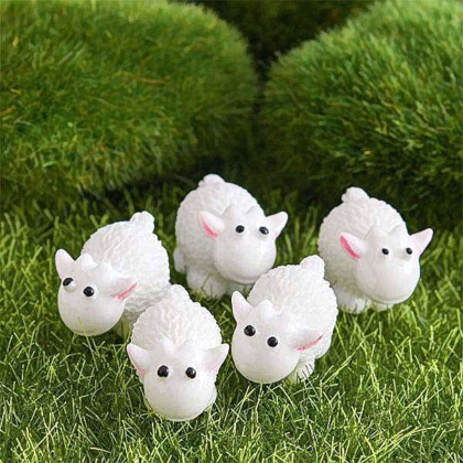 miniature sheep assorted